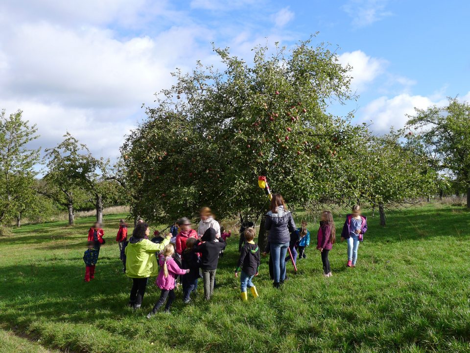 Mit Kindern bei der Apfelernte